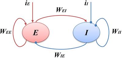 Bidirectionally Regulating Gamma Oscillations in Wilson-Cowan Model by Self-Feedback Loops: A Computational Study